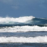 IMG_2364
